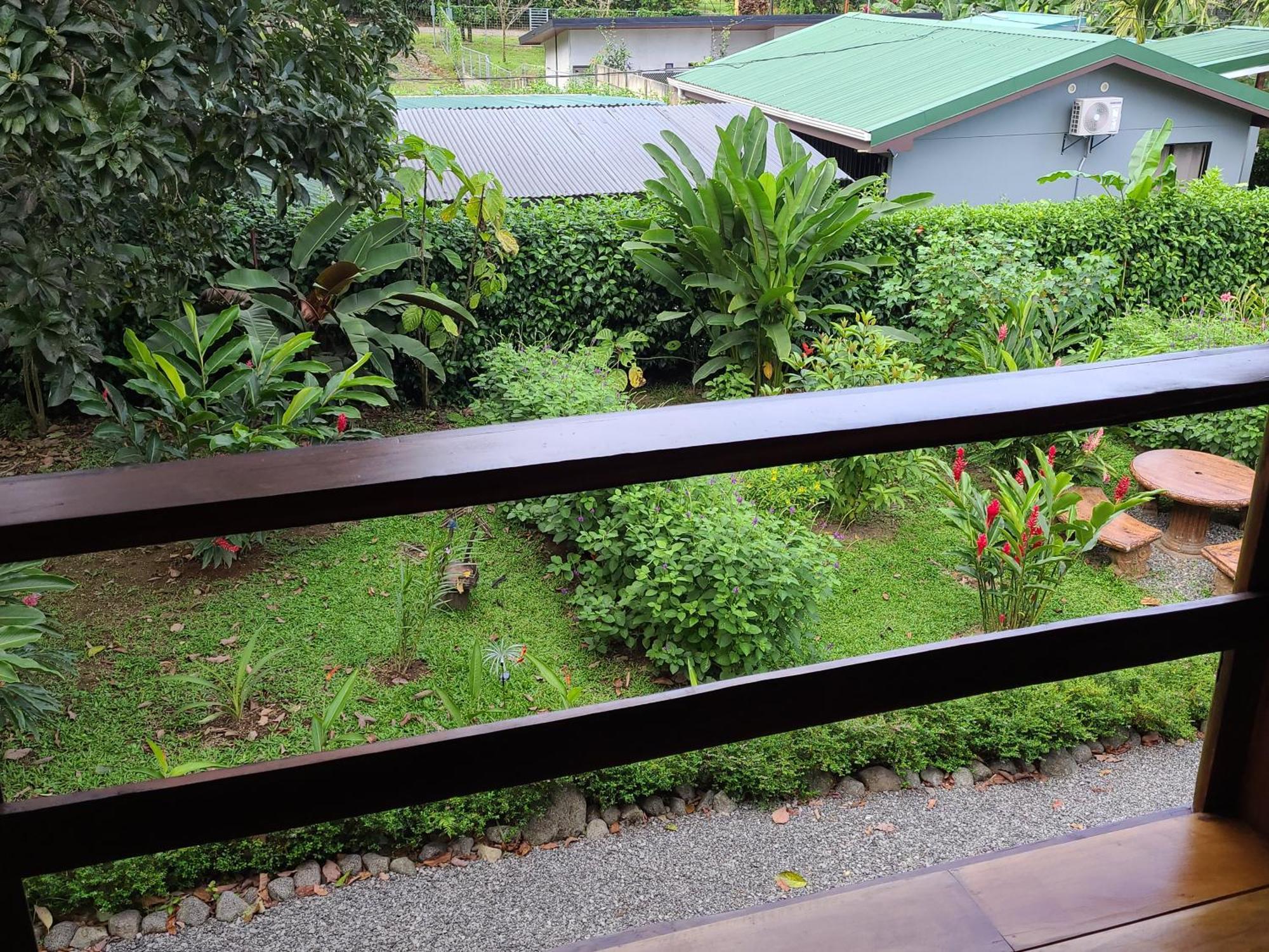 Arenal Sweet Cabins La Fortuna Exterior foto